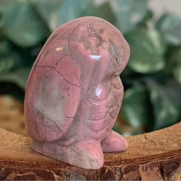 Rhodonite Carved Owl Figurine Gemstone Bird Carving Chubby Stone Animal Pet 1.5" - Picture 2 of 10